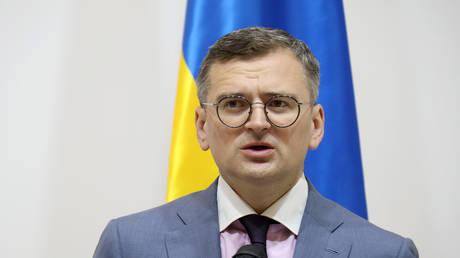 FILE PHOTO: Former Ukrainian Foreign Minister Dmitry Kuleba