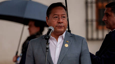 FILE PHOTO: President of Bolivia Luis Arce Catacora