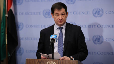 Russian Deputy Ambassador to the UN Dmitry Polyansky.