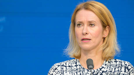 EU foreign policy chief Kaja Kallas, Brussels, Belgium, July 15, 2025.