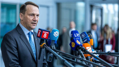 Radosław Sikorski, Minister of Foreign Affairs of Poland.