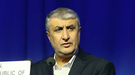 Mohammad Eslami, Head of the Atomic Energy Organization of Iran.
