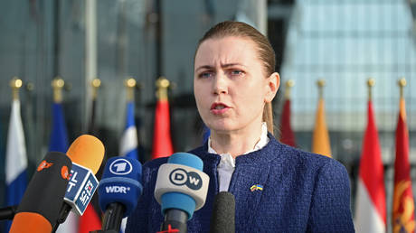 Lithuanian Defense Minister Dovile Sakaliene.