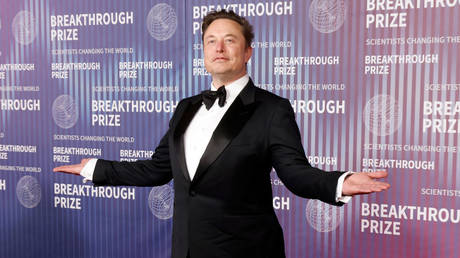 Elon Musk at the Academy Museum of Motion Pictures on April 13, 2024, in Los Angeles, California