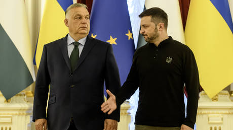 FILE PHOTO: Hungarian Prime minister Viktor Orban and Ukraine’s Vladimir Zelensky holding a meeting in Kiev.