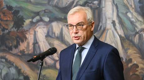 Russian Deputy Foreign Minister Alexander Grushko