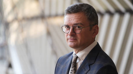 Former Ukrainian Foreign Minister Dmitry Kuleba.