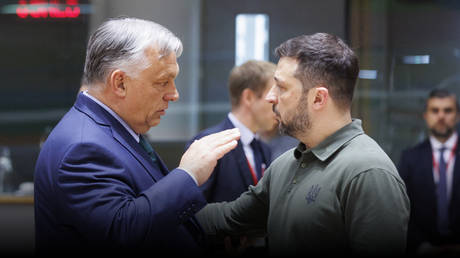 FILE PHOTO: Hungarian Prime Minister Viktor Orban talking to Ukraine’s Vladimir Zelensky in the Europa building in Brussels.